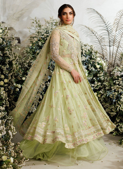 Farah Talib Aziz - Eliza kiwi tulle kalidaar